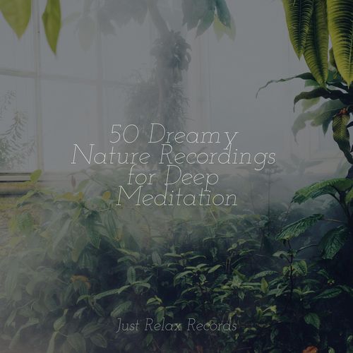 50 Dreamy Nature Recordings for Deep Meditation