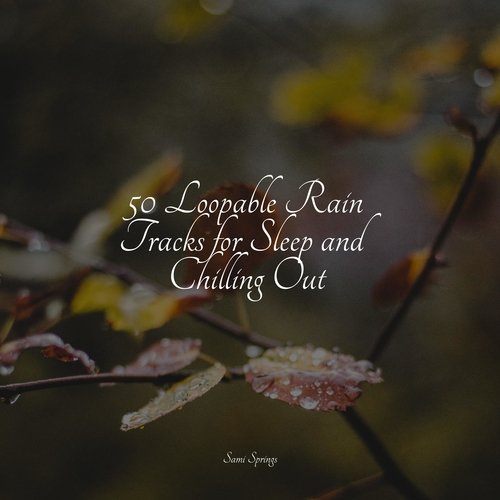 Rain, Summer, Forest cover art