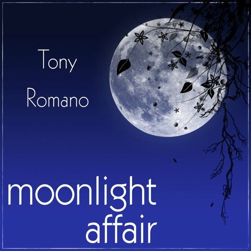 A Moonlight Affair_poster_image