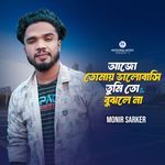 Ajo Tomay Bhalobashi Tumi To Bujle Na