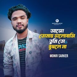 Ajo Tomay Bhalobashi Tumi To Bujle Na