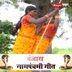 Banjara Nagpanchami geet