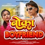 Boka Boyfriend