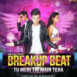 Breakup Beat Tu Meri Thi Main Tera