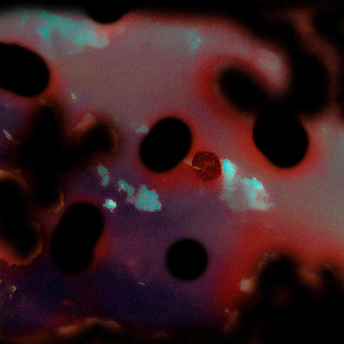Bux cover art