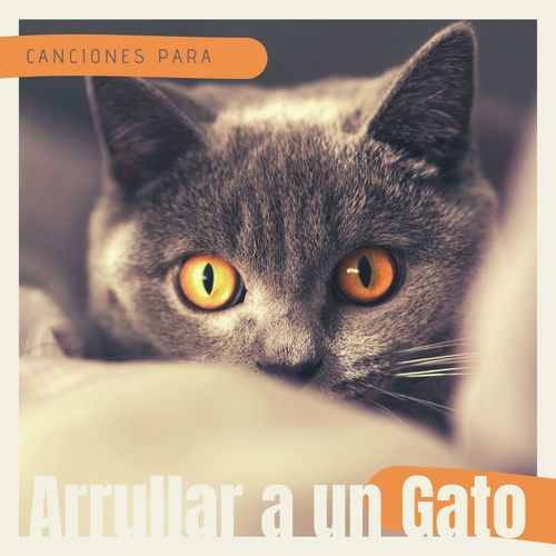 Relajar a mi Mascota cover art