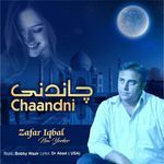 Chaandni