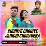 Choriye Choriye Jarichi Chodadena Banjara New Song