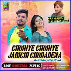 Choriye Choriye Jarichi Chodadena Banjara New Song-OD5TAgVoWXI