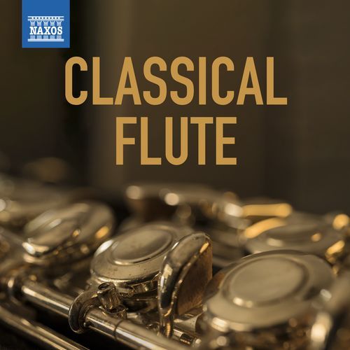 Concerto for 2 Flutes in C Major, RV 533: II. Largo