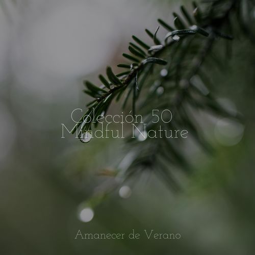 Dormir en tonos esmeralda cover art