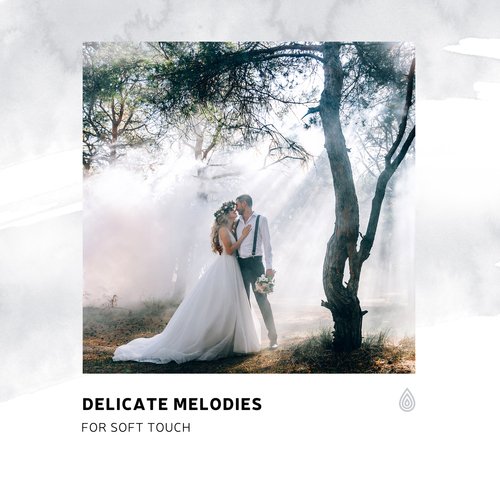 Delicate Melodies for Soft Touch