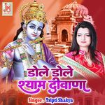 Dole Dole Shyam Deewana