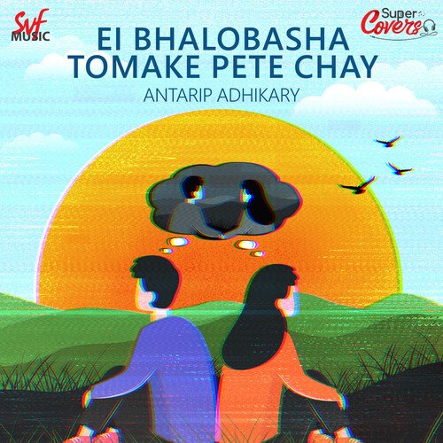 Ei Bhalobasha Tomake Pete Chay-Cover