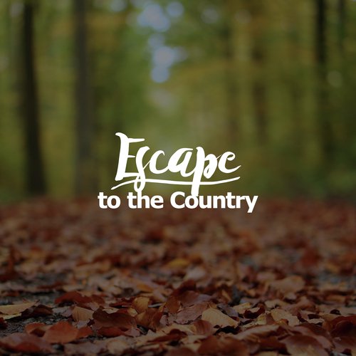 Escape to the Country