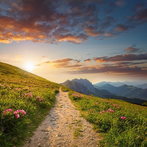 Flujo Armónico: Melodías Relajantes Para El Spa