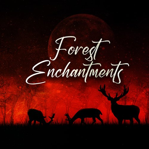 Forest Enchantments: Relaxing Sounds of Nature, Forest Melodies, Best Relaxation Mix_poster_image