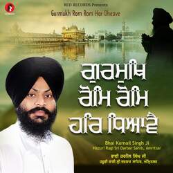 Gurmukh Rom Rom Har Dhiyave-QQQsV0EdAGo