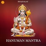 Om Namo Hanumate Rudra Avtaraya