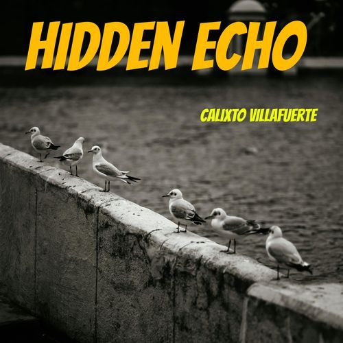 Hidden Echo cover art