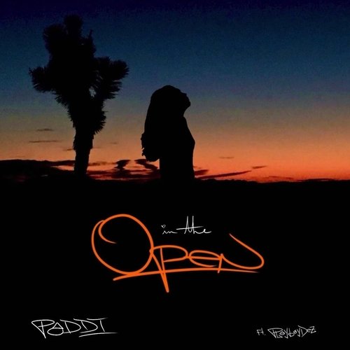 In the Open (feat. Playb0ydez) cover art