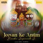 Jeevan Ke Antim Bandhu Jagannath Ji