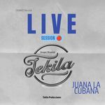 Juana La Cubana artwork