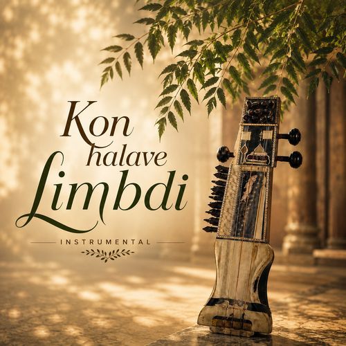 Kon Halave Limbdi (Instrumental)