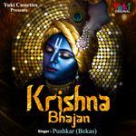 Thaali Bharke Laayi Kheechdo (Krishna Bhajan)