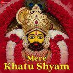 Mere Khatu Shyam