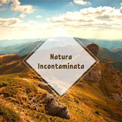 Natura Incontaminata - Suoni naturali e musica new age per un profondo rilassamento fisico e spirituale