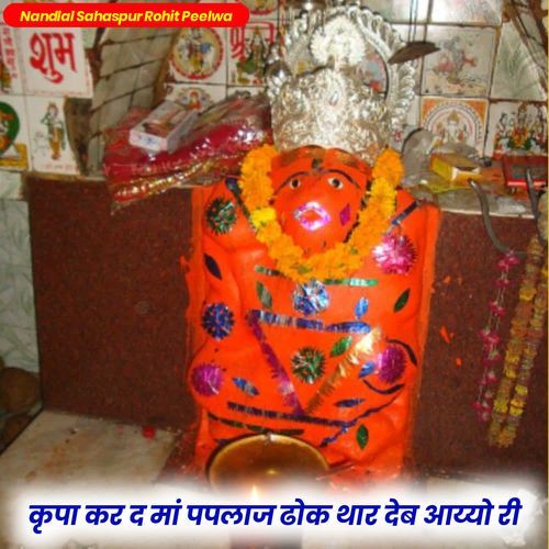 कृपा कर द मां पपलाज ढोक थार देब आय्यो री