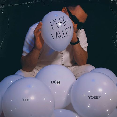 Don Huncho (Remix) cover art