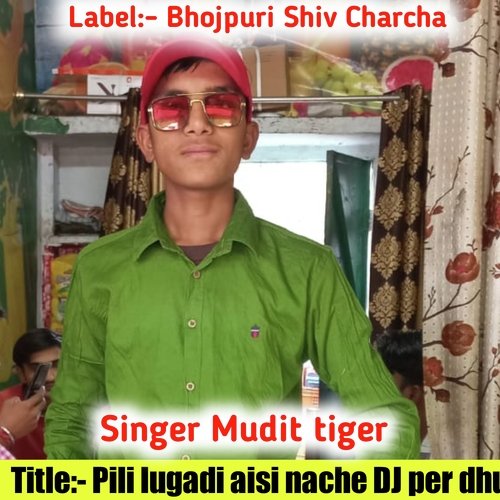 Pili Lugadi Aisi Nache Dj Per Dhum