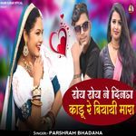 Roy Roy Ne Dinda Kadu Re Biyayi Mara