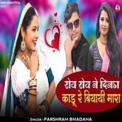 Roy Roy Ne Dinda Kadu Re Biyayi Mara