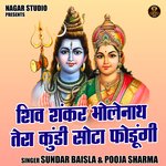 Shiv shankar bholenath tera kundi sota fodungi (Hindi)
