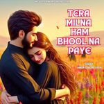 Tera Milna Ham Bhool Na Paye