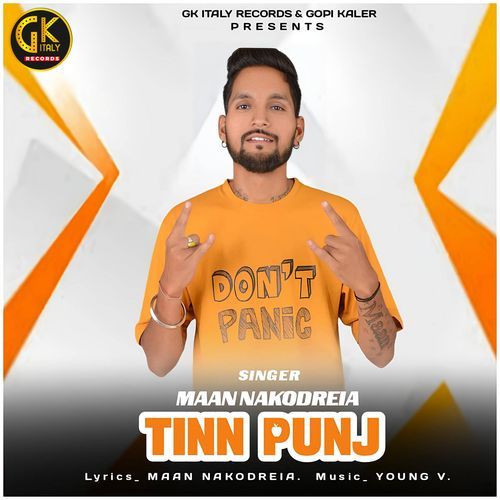 Tinn Punj