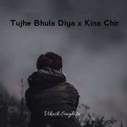 Tujhe Bhula Diya x Kina Chir-OyoxeyxoUks