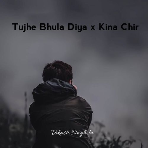 Tujhe Bhula Diya x Kina Chir