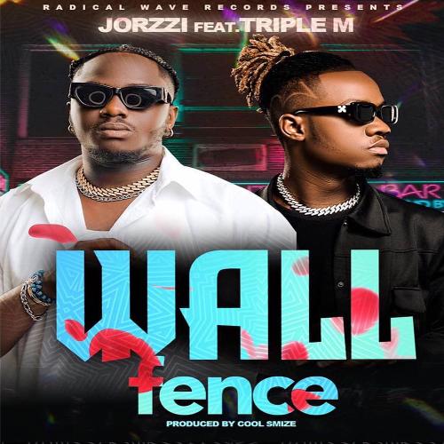 WALL FENCE (feat. TRIPLE M)_poster_image