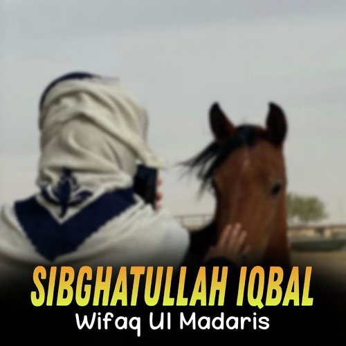Wifaq Ul Madaris