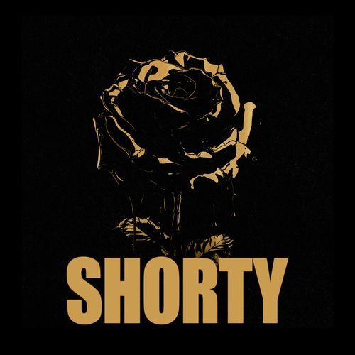 shorty (feat. Gino Mella, King Savagge & Remers) cover art