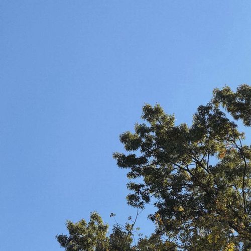 the day skies turned blue