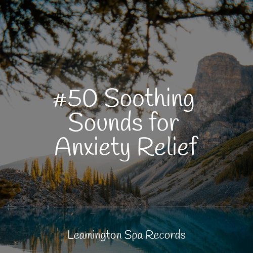 Meditating Music cover art