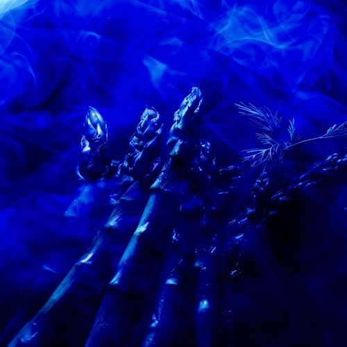 Asparagus (Slowed + Reverb)