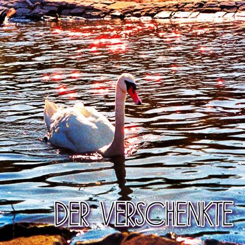 Wache (Akustische Version) cover art