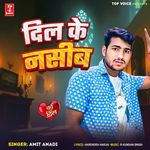 Dil Ke Naseeb