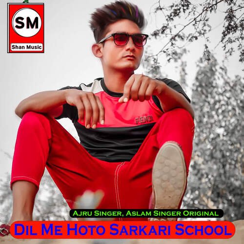 Dil Me Hota Sarkari School